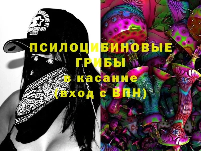 Псилоцибиновые грибы Cubensis  Комсомольск 